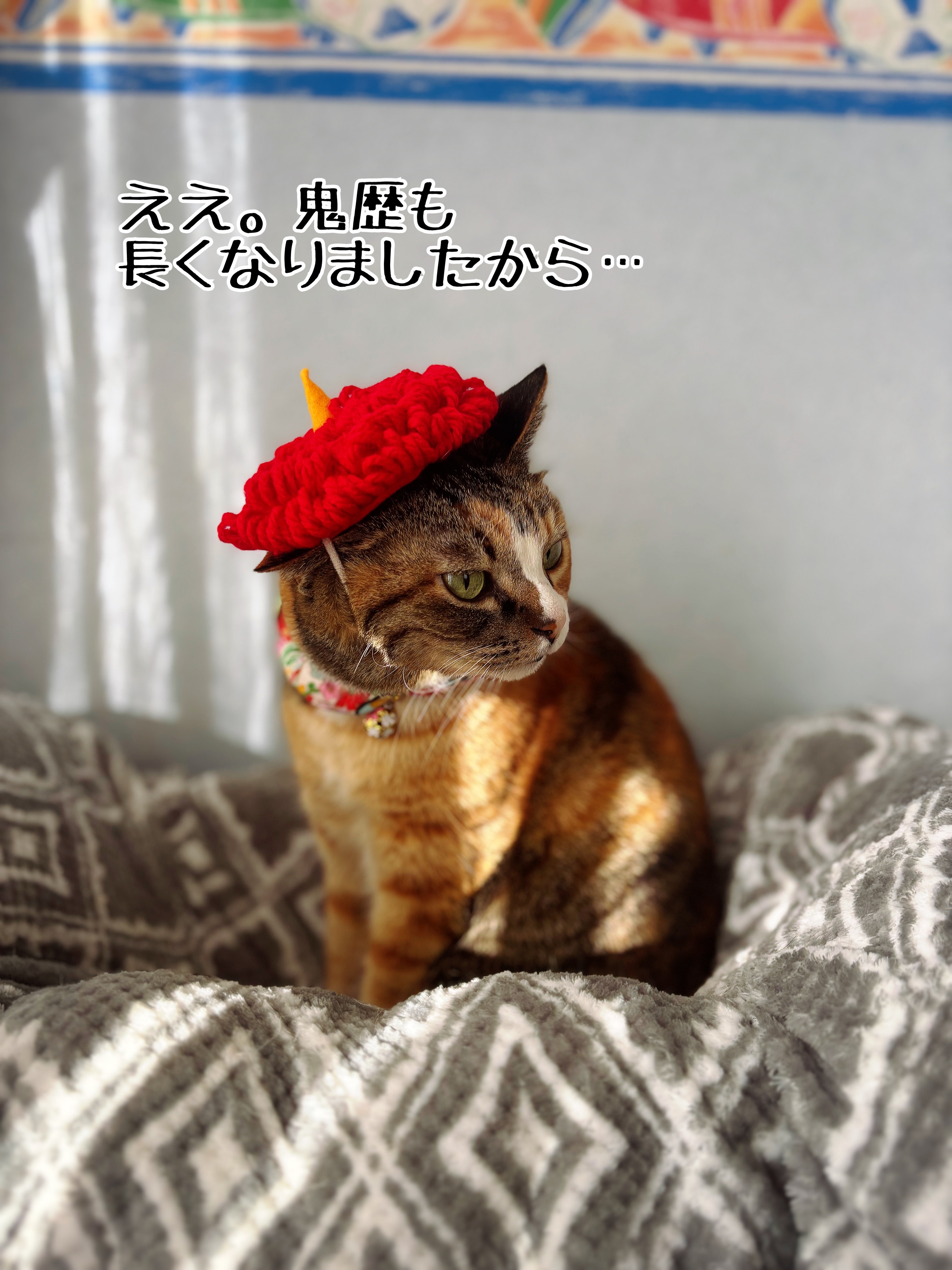 どんぐりアート♡お月見＆Halloweenねこ帽子BIGオブジェ♡ どんぐり