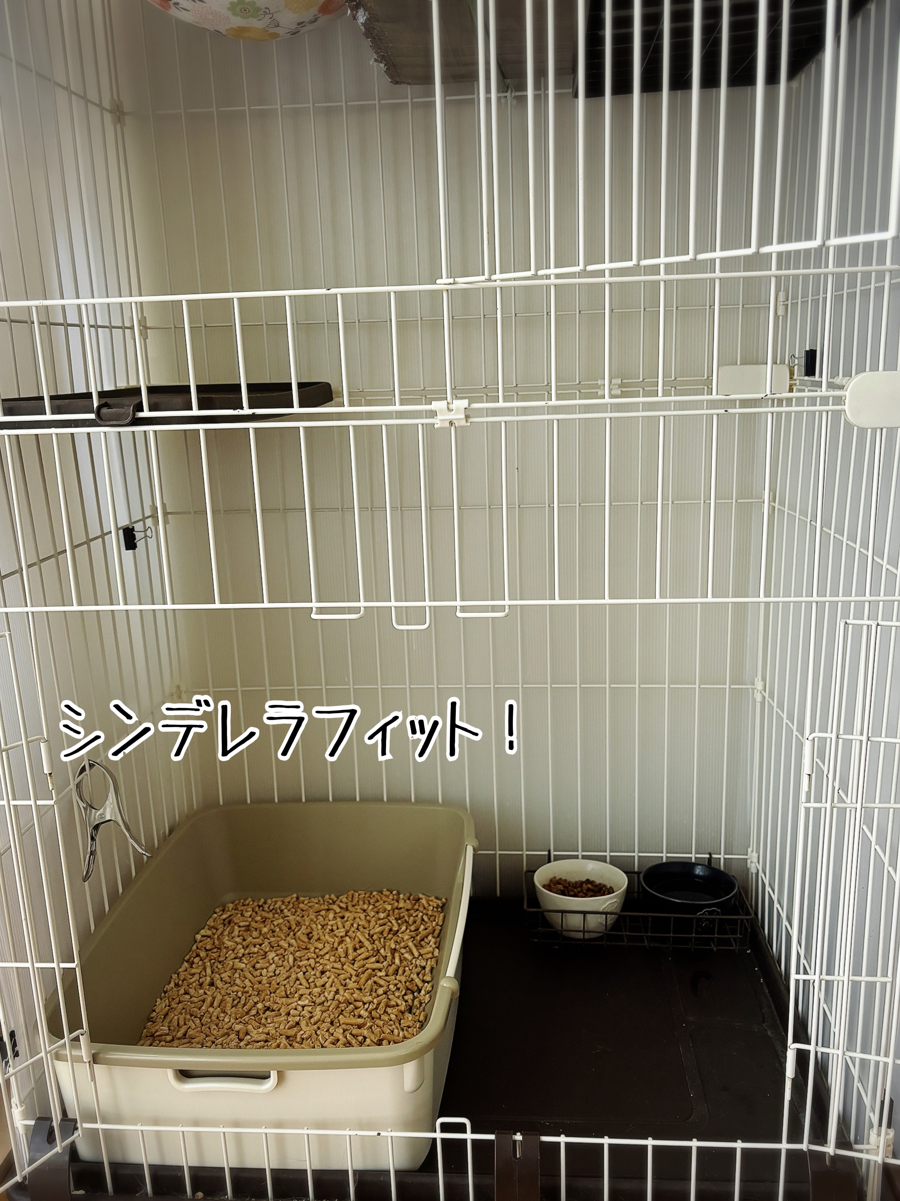 お迎えご準備の参考に。(1)ケージ、トイレ : 猫とお酒と日々のこと 