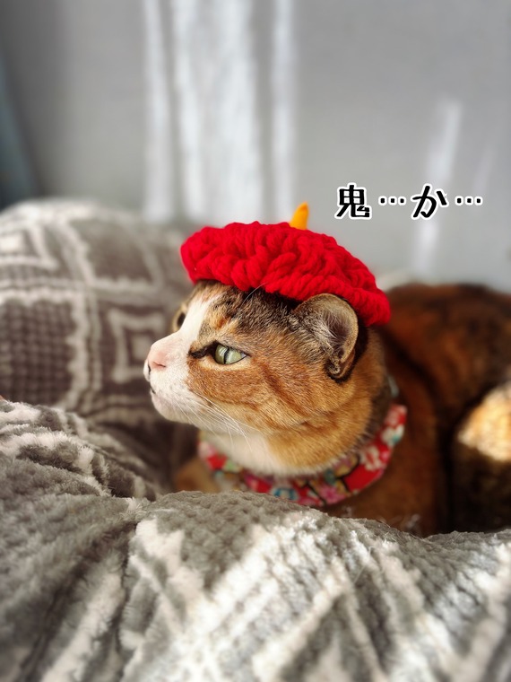 2026 節分 5年目の鬼ヅラ : 猫とお酒と日々のこと (記事コメント - 1
