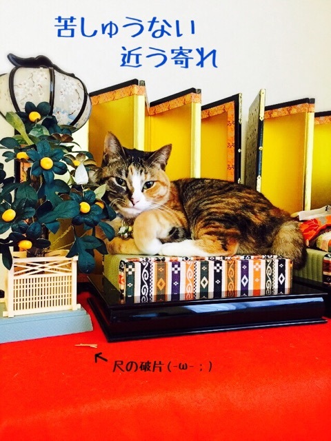 {7B4AE112-DD10-4097-B48D-0AA5DE7216EA:01}