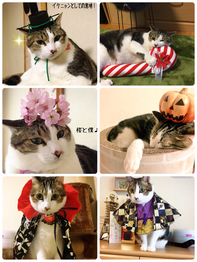 ♡シュウさま♡ 08bbbc6e-s.jpg