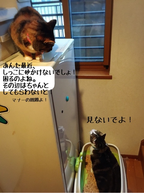 {A922B831-A05D-4516-9810-A119D9750D5A:01}