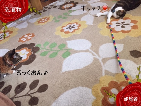 {C27F5153-7ABD-416D-8D06-4B507F4E160B}