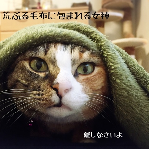 {1DA3F8C3-D4B1-4AEC-8AD9-4815FF7A3B55}