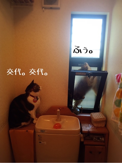 {1FF14BBF-41BA-4672-8E8C-7DC203C504BE}