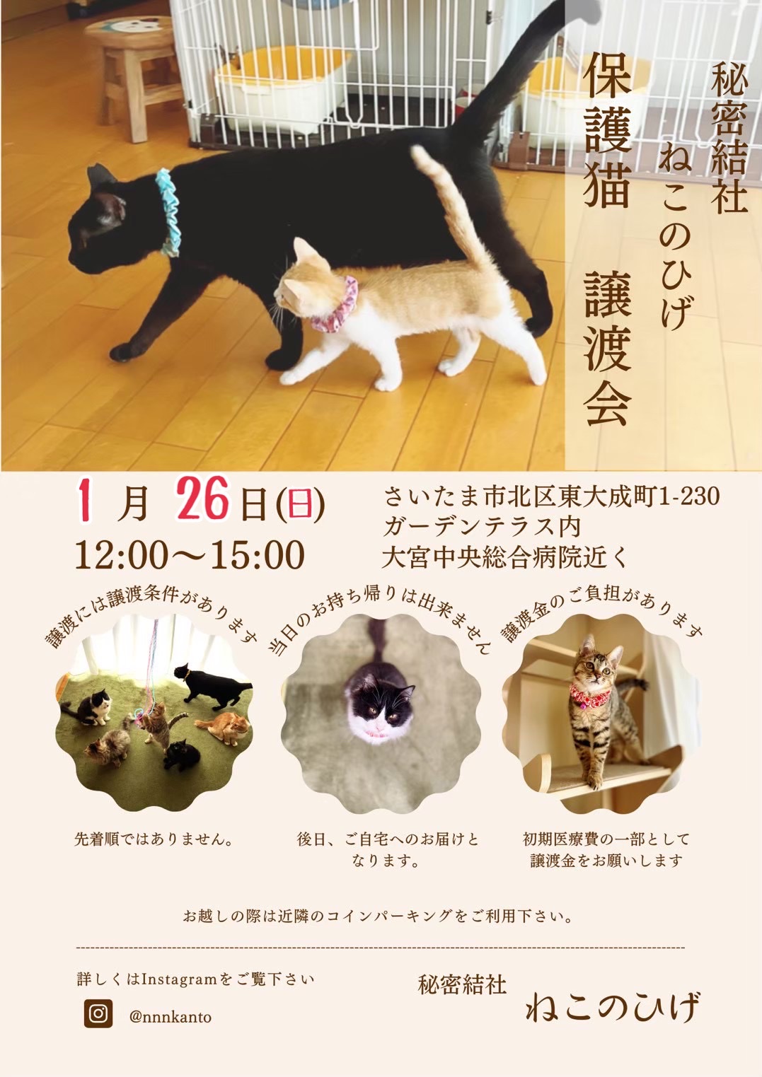 私の望んだ使い方 : 猫とお酒と日々のこと Powered by ライブドアブログ 
