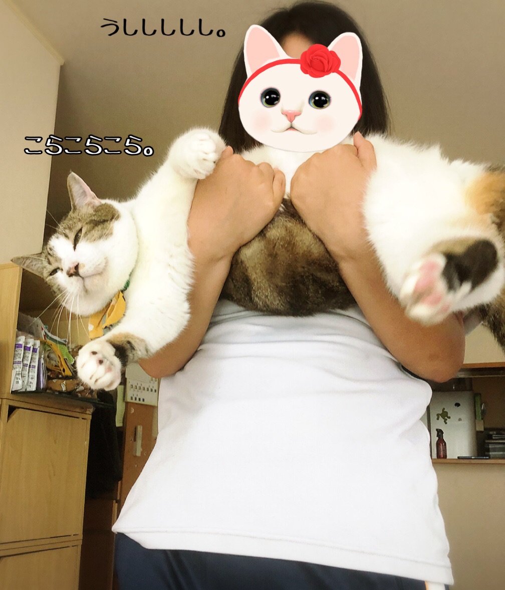 捕獲萌え と 蓮くん 猫とお酒と日々のこと Powered By ライブドアブログ