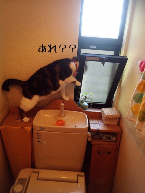 {FD1C0773-4DBE-487F-A3CE-FCCDE3B9D854}