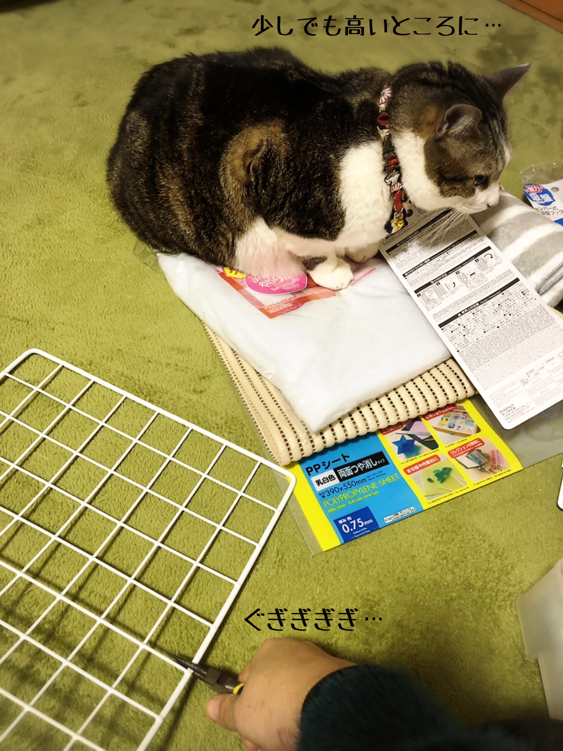 貼るベッドの作り方 猫とお酒と日々のこと Powered By ライブドアブログ