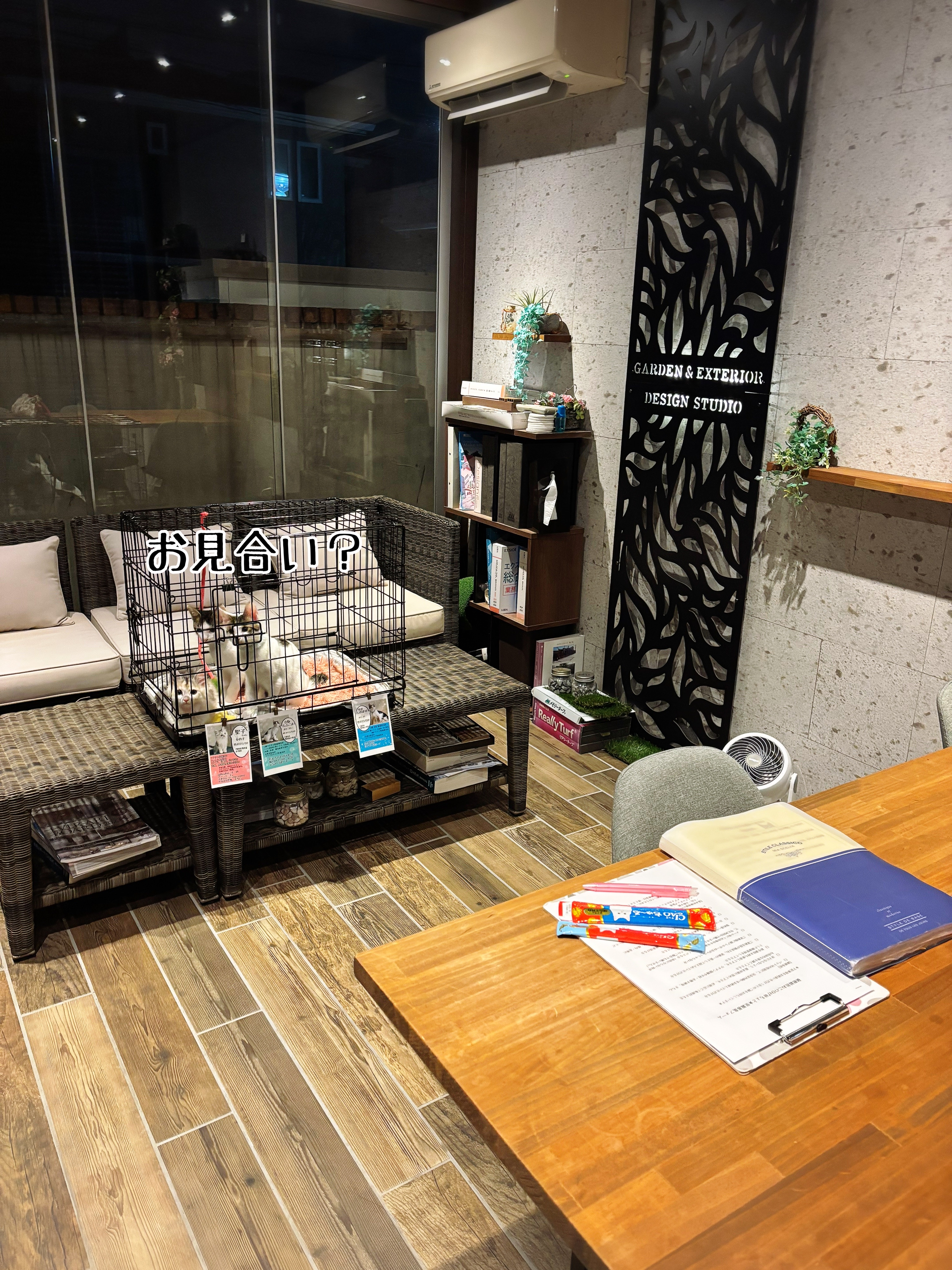 昨日はお見合いでした。 : 猫とお酒と日々のこと Powered by ライブドアブログ