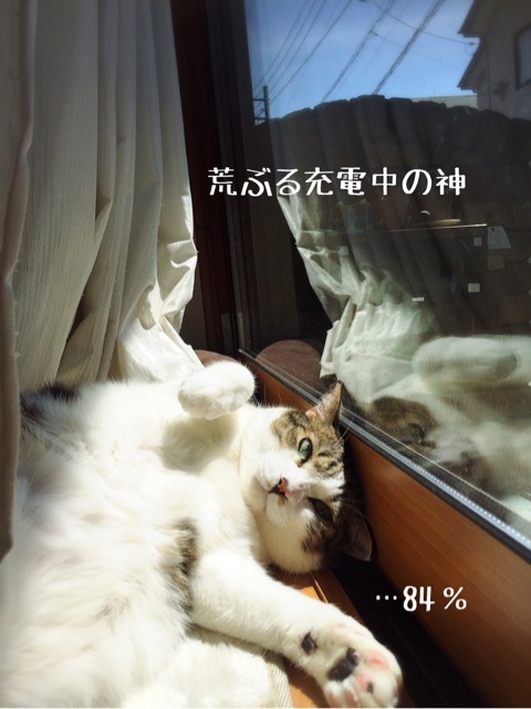 {F5CCCA57-C380-4C00-91BB-E69E000CD090}