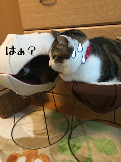 {3231E7FB-5C25-46F9-97E9-D64915D40FA1:01}