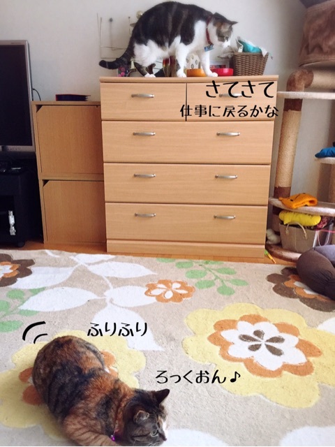 {3ABC05EE-44C1-4232-813E-B312F6CAA63E}