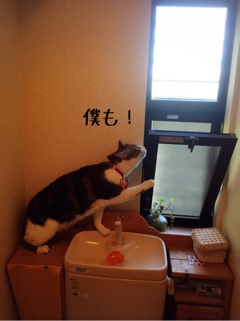 {548D0115-DB79-4441-98D9-9BE9D5CAD52E}