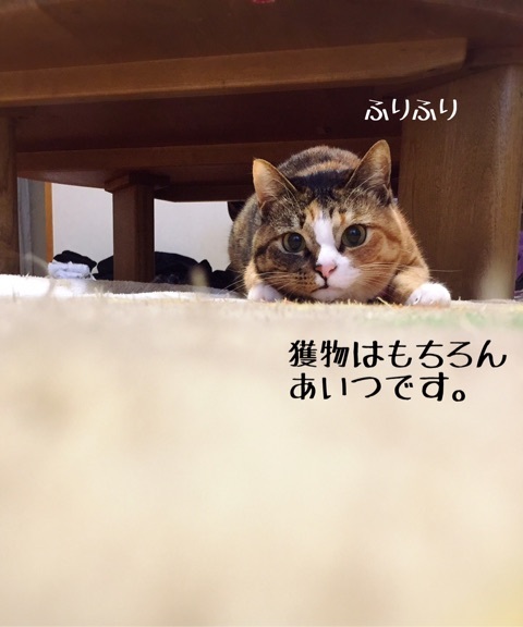 {6BCB004D-5AD8-4E00-ACBA-C32D728B5DFC}