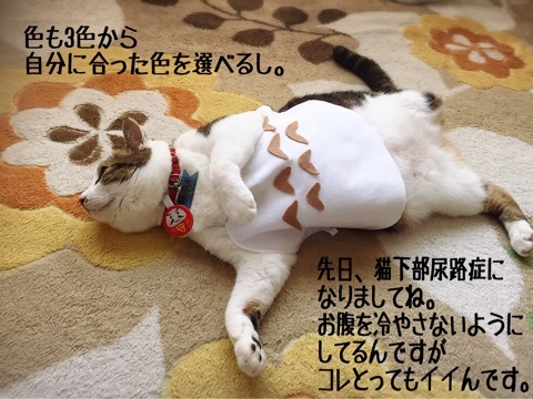{0D9B92EA-4517-4ECD-8C1E-74C378E866E2}