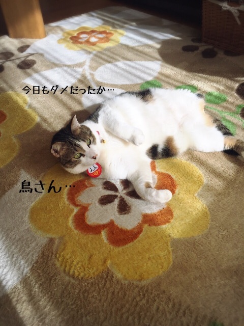 {1FDDB577-DAF9-4B5B-A825-970D7E3E2424:01}