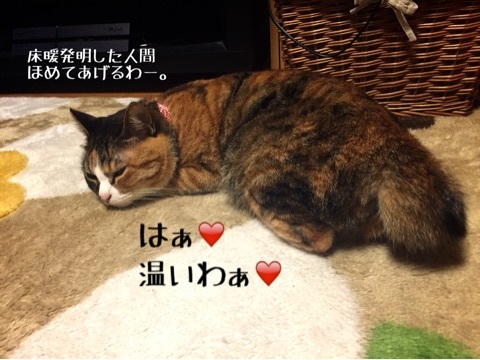 {822CD819-2DAF-4D80-B211-42F9945067B2:01}