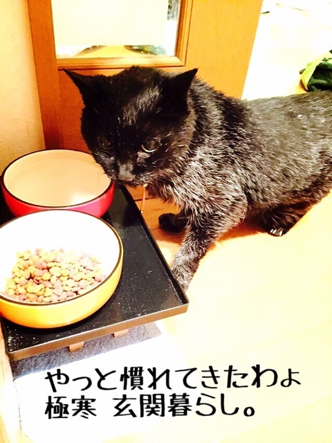 {76416587-0419-4DDD-AA4D-30D73CBC9831:01}