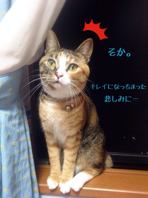 {6204270A-6FA3-4557-9667-07EB11FF9E18:01}