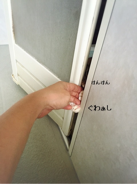 {921E2856-9121-4A3B-902B-AF0C93876B53:01}