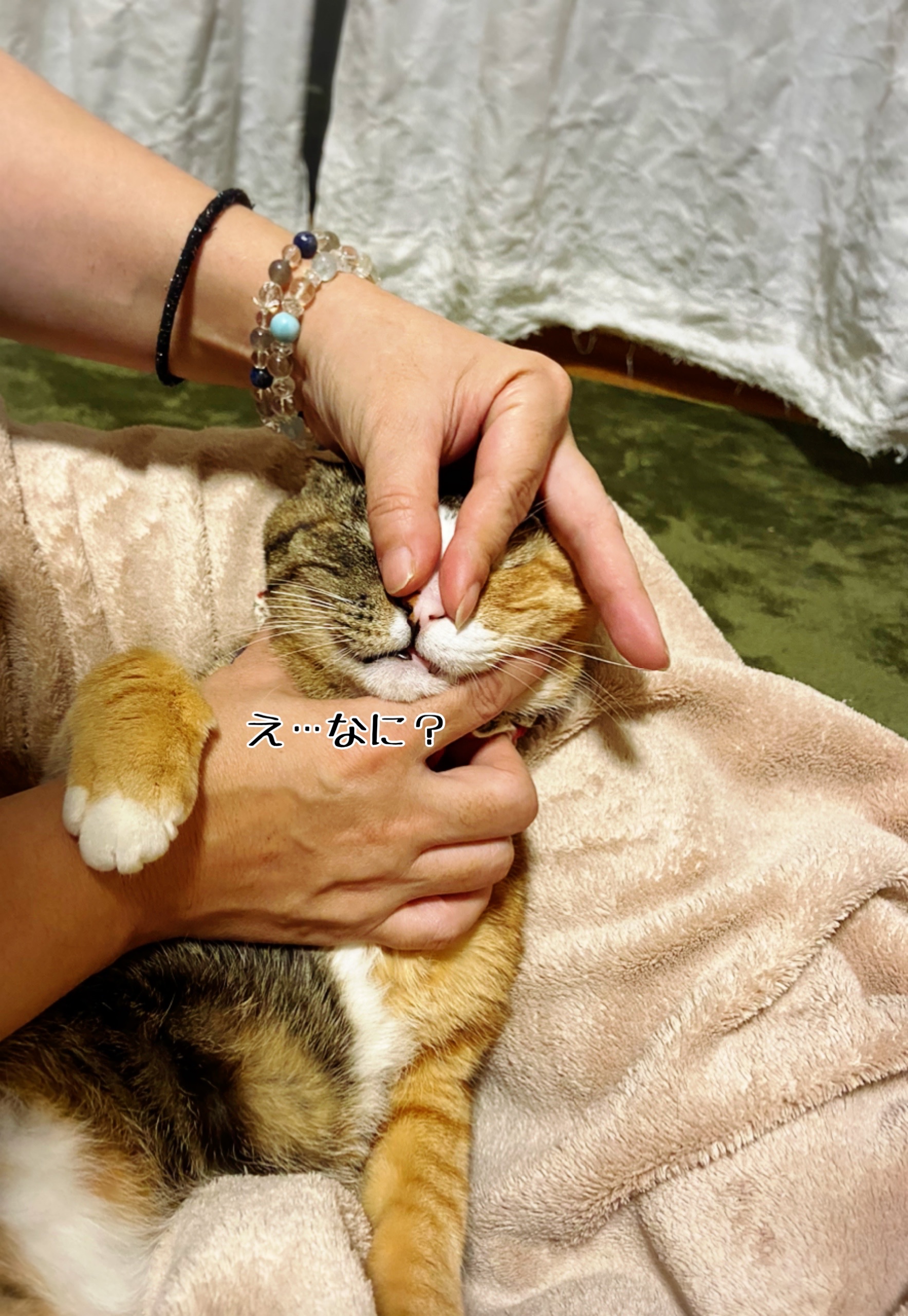 猫さまの涙詰まり 鼻詰まりに効くらしいマッサージ 猫とお酒と日々のこと Powered By ライブドアブログ 猫さまの涙詰まり 鼻詰まりに効くらしいマッサージ 猫とお酒と日々のこと Powered By ライブドアブログ