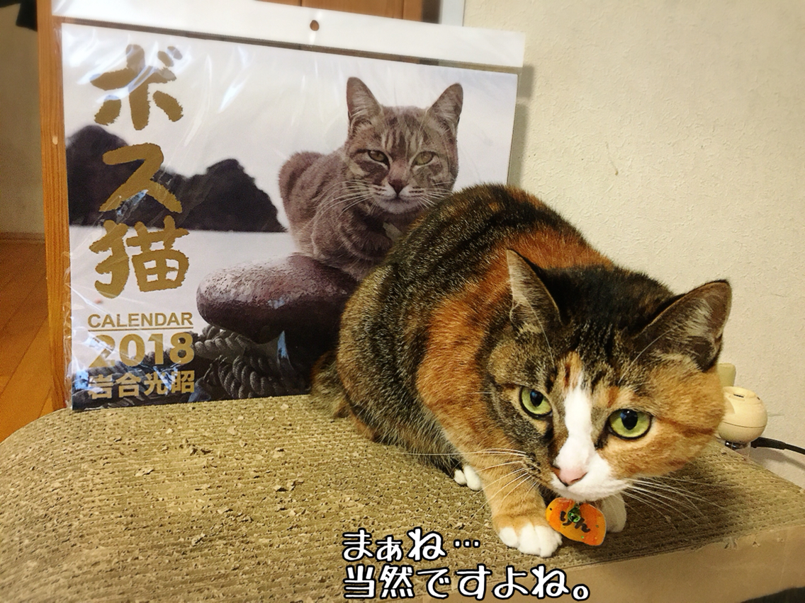 ボス猫様 猫とお酒と日々のこと Powered By ライブドアブログ