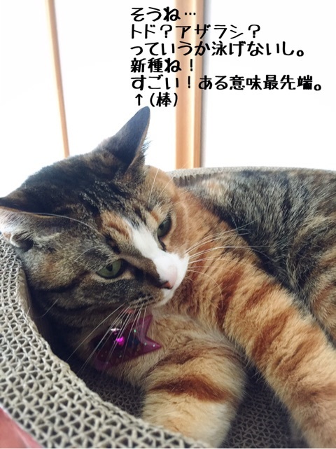 {2737DBE8-CF26-4F90-9209-03F5932CD65A}