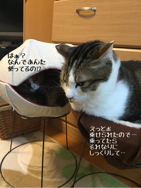 {BAC33EA2-E8F3-4C7B-A8C9-05943A077C60:01}