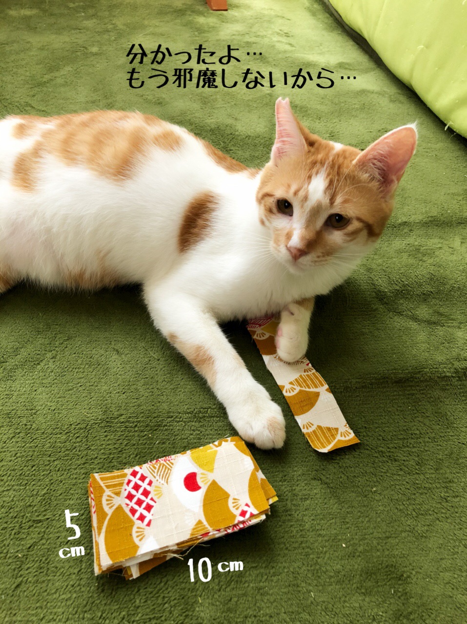 猫様おもちゃ マキビシの作り方 猫とお酒と日々のこと Powered By ライブドアブログ