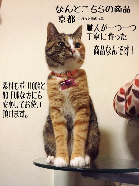 {7EA1BE64-7812-4AAB-B062-2789B504AAEC}