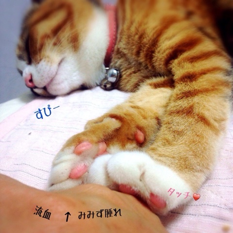 {84A034C4-FD4B-42CF-A8D3-0726031C097C:01}