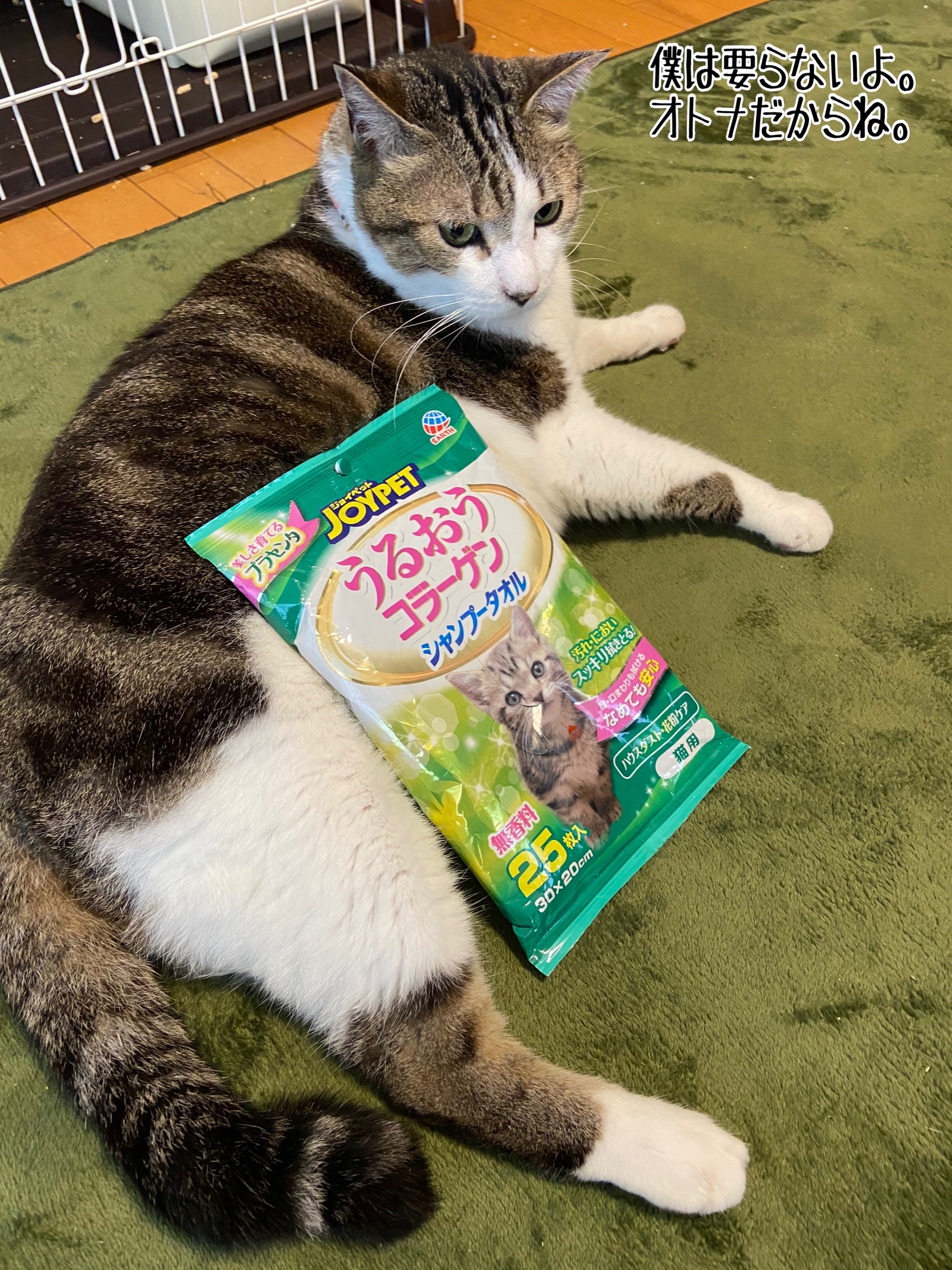 シャンプータオル 猫用 25枚