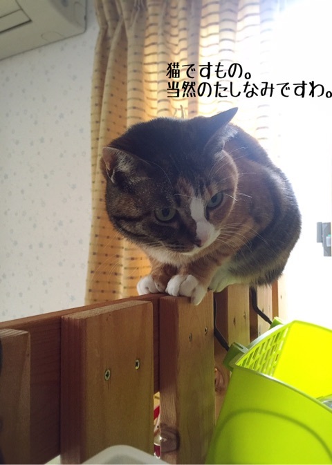 {1B2F9376-9042-431A-81DC-3CEFEC8BBB84}