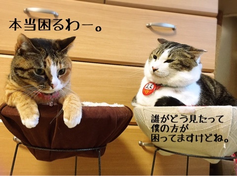 {40C68C9B-7624-490E-B509-27D19BCFB7C4}