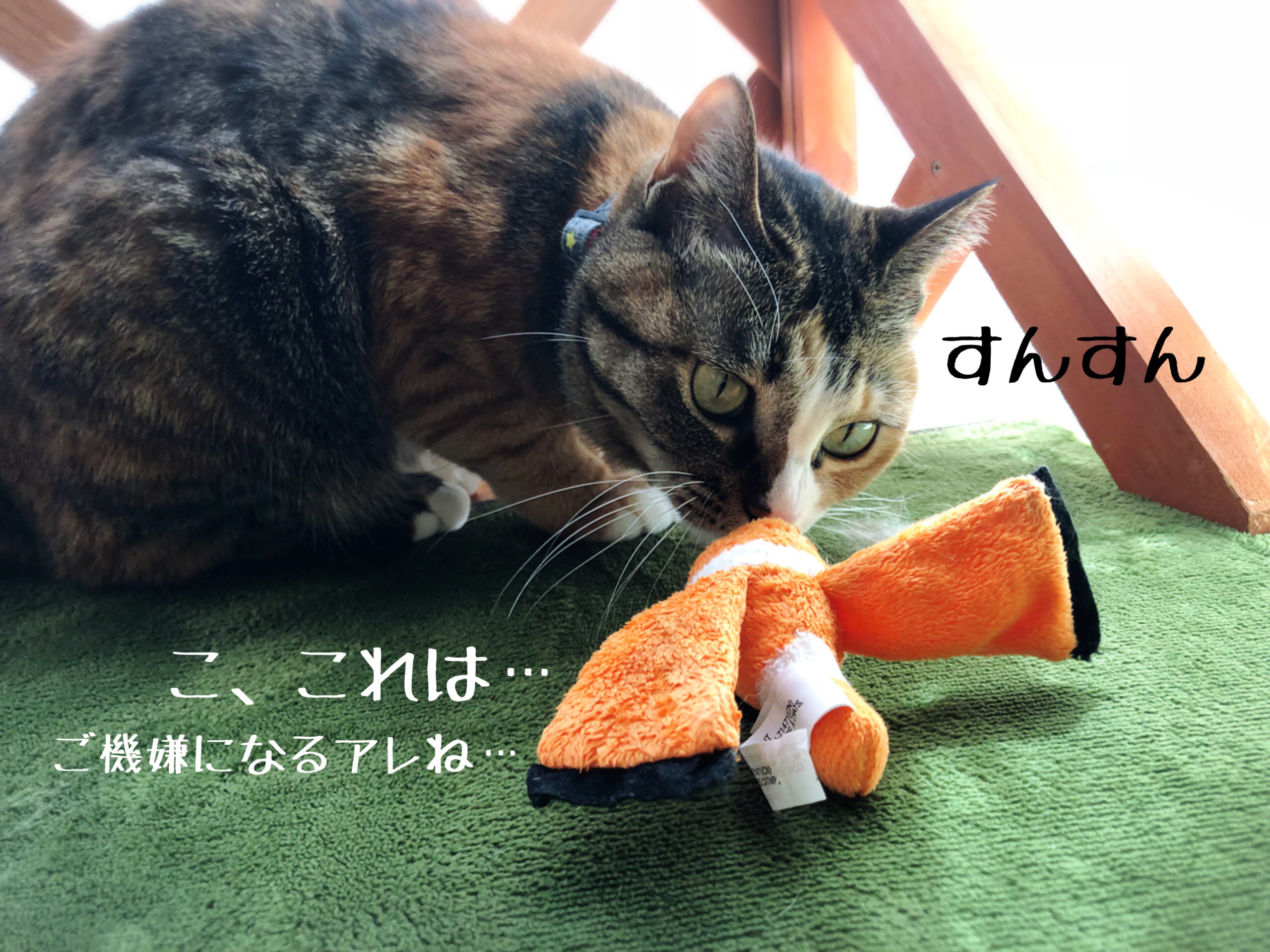酔っ払い 猫とお酒と日々のこと Powered By ライブドアブログ 酔っ払い 猫とお酒と日々のこと Powered By ライブドアブログ