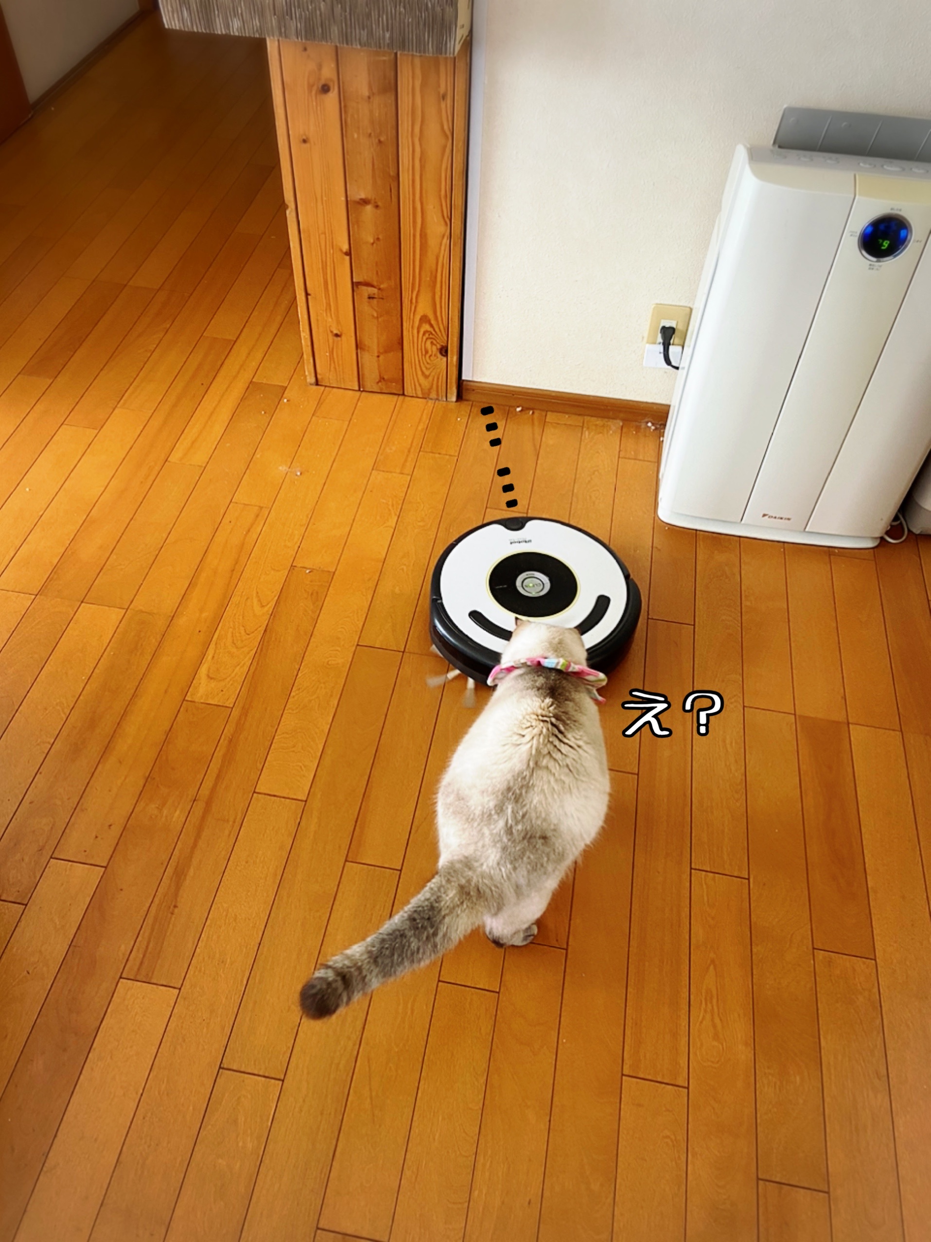 掃除機と猫さま ルンバとメルちゃん 猫とお酒と日々のこと Powered By ライブドアブログ