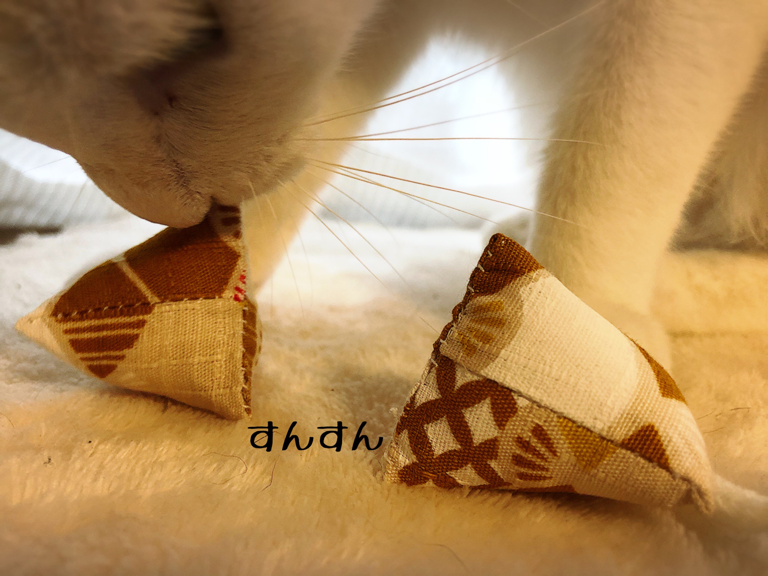 猫様おもちゃ マキビシの作り方 猫とお酒と日々のこと Powered By ライブドアブログ 猫様おもちゃ マキビシの作り方 猫とお酒と日々のこと Powered By ライブドアブログ
