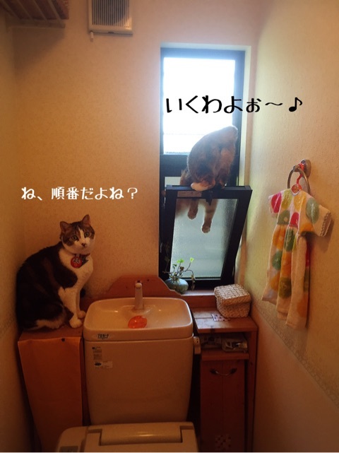{2B33BFB3-DBBF-4722-B4A5-728DBCBDCA09}