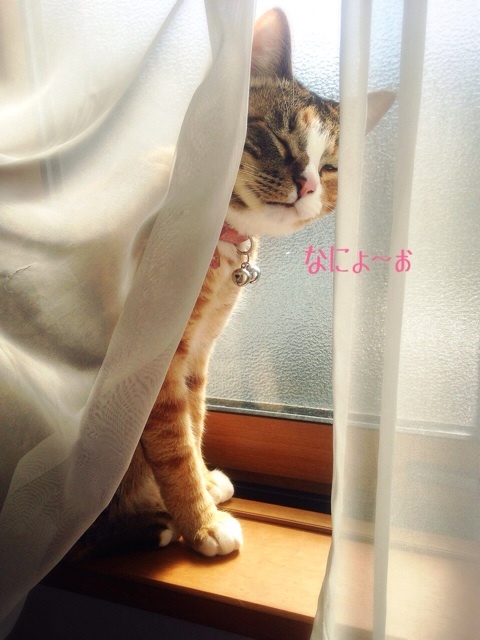 {F5D1F3CD-F852-438A-80BA-06314814E560:01}