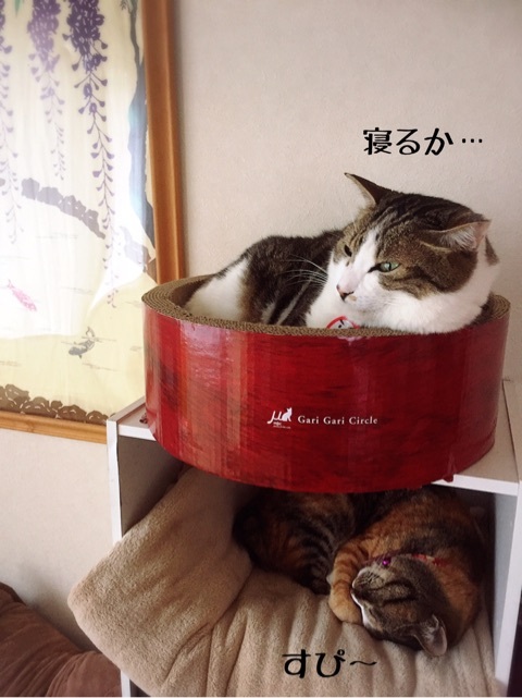 {F8E9B320-C606-42DB-B4F3-EECC2AAC06E8}