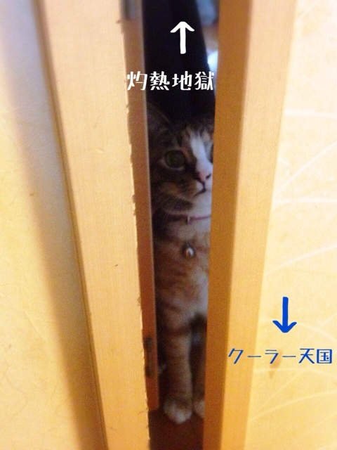 {24515430-A83D-458F-9DFF-58EDBC9DC60D:01}
