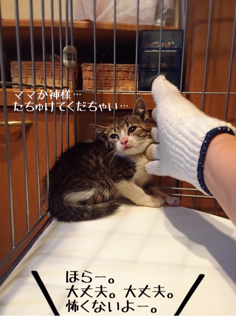 {E3FA885D-87AA-448D-A555-227EC7F8166C}