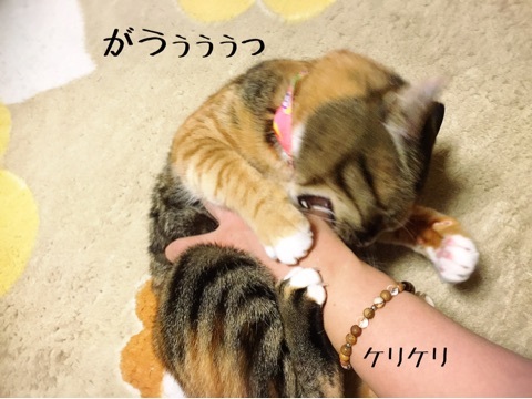{EE0F7B76-EB14-46C0-BDE5-3CCE0BB017A5}