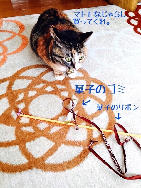 {4383729F-3B7E-4658-8BBB-BAC92BC06B7F:01}