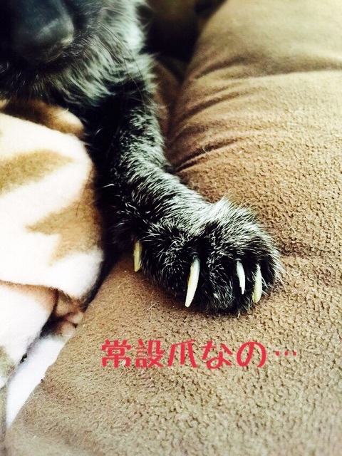 {90481D5A-6F22-4D3C-B5EB-ED3B86C1EFF1:01}