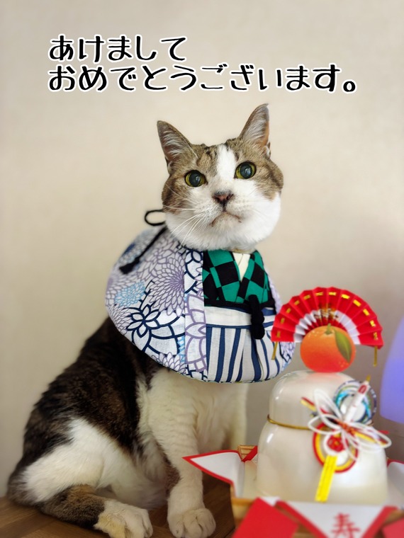 2026年あけましておめでとございます♪ : 猫とお酒と日々のこと
