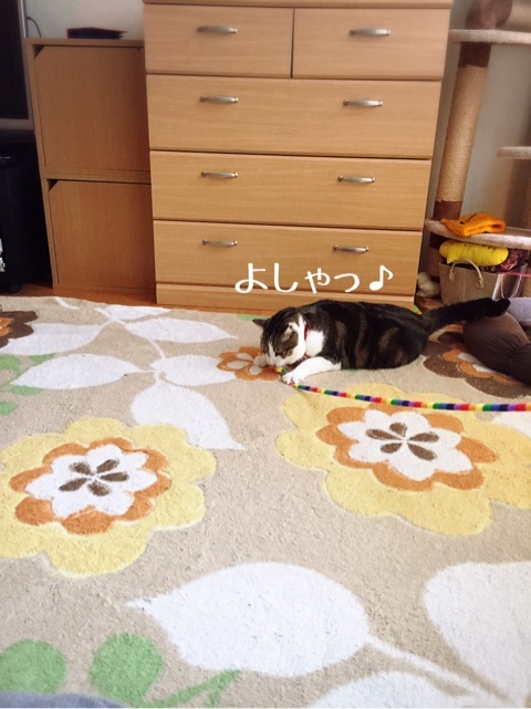 {952AB829-DBC8-4918-A6E4-9BC67D6548F8}