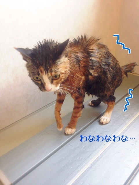 {924A2B7B-3881-458B-AC0C-56646640C3ED:01}