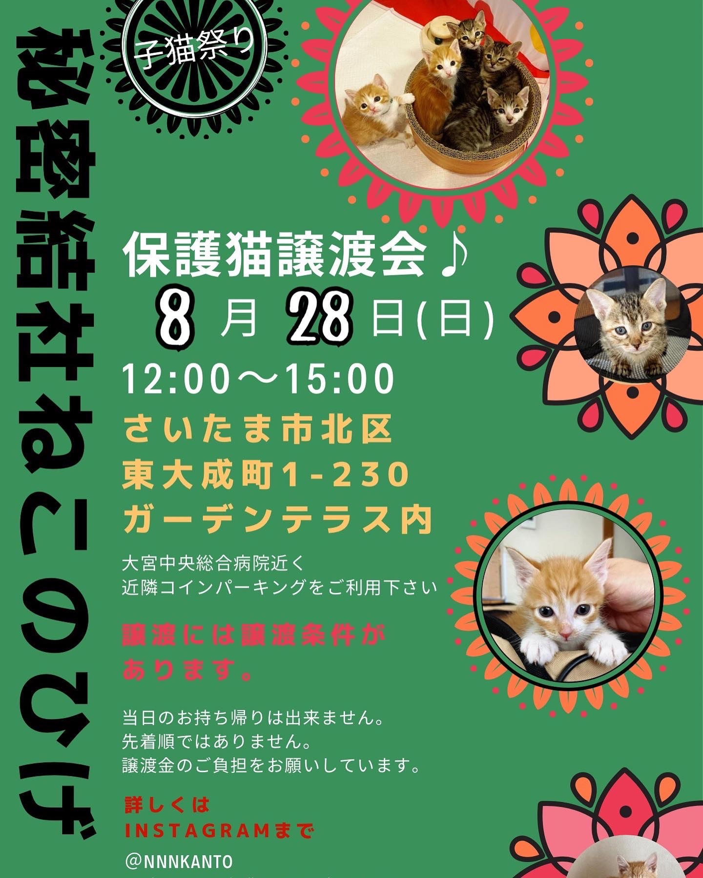 みんにゃに良いご縁がありますように とどちらさま 猫とお酒と日々のこと Powered By ライブドアブログ